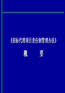 招标代理项目责任制管理办法