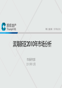 XXXX年天津滨海新区房地产市场总结报告_15页