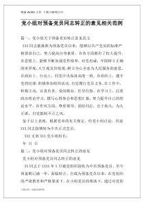 党小组对预备党员同志转正的意见相关范例