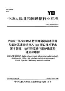 YDT 2858.9-2015 2GHzTD-SCDMA数字蜂窝移动通信网 多载波高速分组接入 Iu