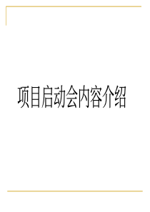 项目启动会培训