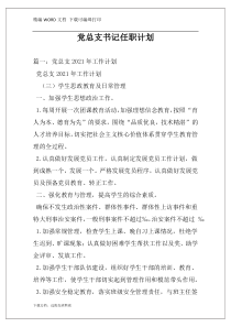 党总支书记任职计划