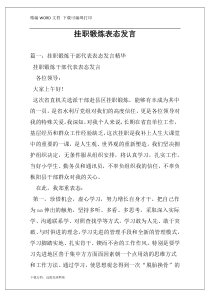 挂职锻炼表态发言