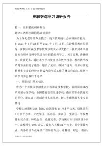 挂职锻炼学习调研报告