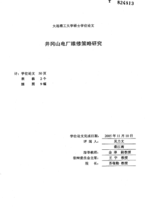 井冈山电厂维修策略研究