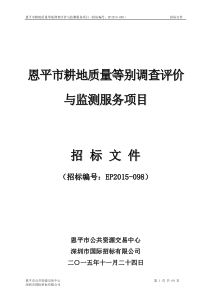 招标文件(恩平市耕地质量等别调查评价与监测服务项目)