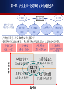 产业坐标—公司战略位势的对标分析