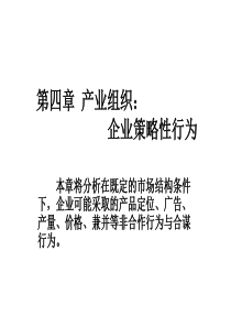 产业组织企业策略性行为