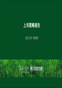 XXXX年武汉招商地产公园1872上市策略报告