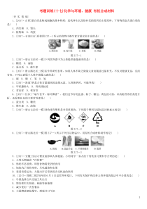 （河北专版）2018年中考化学复习练习 考题训练（十七）化学与环境、健康 有机合成材料