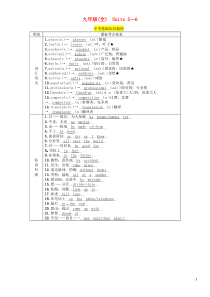 （贵阳专版）2019中考英语总复习 第1部分 教材知识梳理篇 九全 Units 5-6（精讲）检测