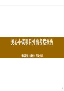 项目外出考察报告