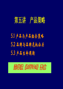 产品策略分析与报告-产品策略分析与报告