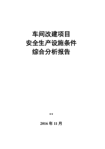 项目安全综合分析报告