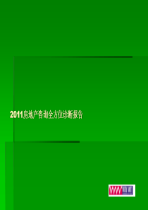 XXXX房地产咨询全方位诊断报告（PPT315页）