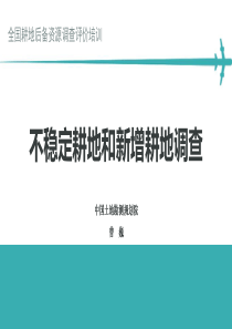 6.1二次调查不稳定耕地和新增耕地调查方法说明0822打印稿