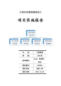 项目实施报告