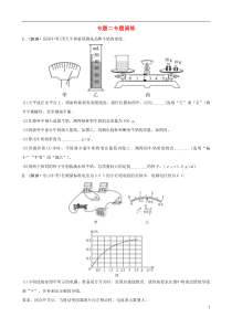 （东营专版）2019年中考物理总复习 专题二专题演练