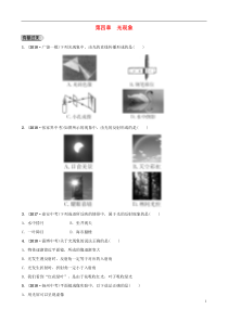 （东营专版）2019年中考物理总复习 第四章 光现象习题