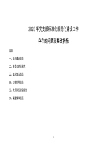 2020年党支部标准化规范化建设存在的问题及整改措施作