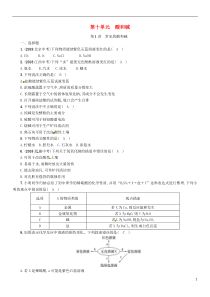 （百色专版）2019届中考化学复习 第1编 教材知识梳理篇 第10单元 酸和碱 第1讲 常见的酸和碱