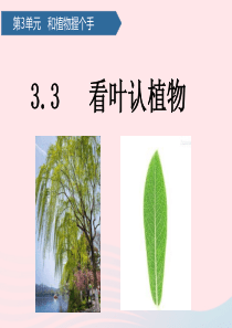 一年级科学下册 第三单元 和植物捏个手 10看叶认植物课件 青岛版六三制