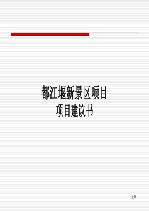 项目建议书（PPT 38页）