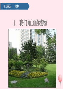 一年级科学上册 植物 1我们知道的植物课件 教科版