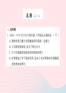 四川省绵阳市2019年中考物理 压强专题精炼复习课件