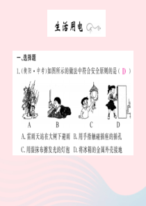 四川省绵阳市2019年中考物理 生活用电专题精炼复习课件