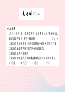 四川省绵阳市2019年中考物理 第二十章 电与磁专题精炼复习课件