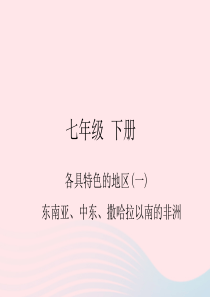 四川省绵阳市2019年春中考地理 七下 各具特色的地区（东南亚 中东 撒哈拉以南的非洲）复习课件 新