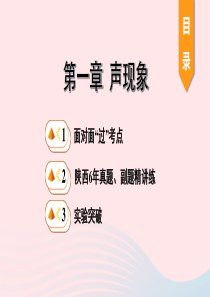 陕西省2020年中考物理一轮复习 基础考点一遍过 第一章 声现象课件