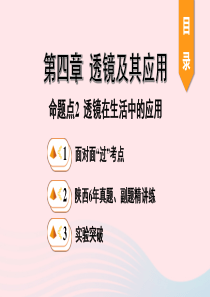 陕西省2020年中考物理一轮复习 基础考点一遍过 第四章 光的折射 透镜 命题点2 透镜在生活中的应