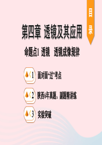 陕西省2020年中考物理一轮复习 基础考点一遍过 第四章 光的折射 透镜 命题点1 透镜 透镜成像规