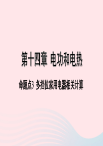 陕西省2020年中考物理一轮复习 基础考点一遍过 第十五章 电功和电热 命题点3 多挡位家用电器相关