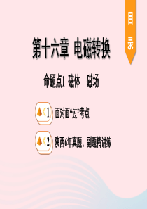 陕西省2020年中考物理一轮复习 基础考点一遍过 第十六章 电磁转换 命题点1 磁体 磁场课件