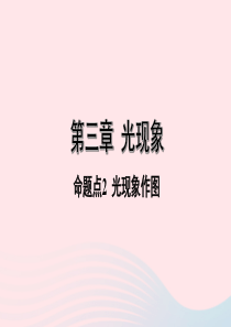 陕西省2020年中考物理一轮复习 基础考点一遍过 第三章 光现象 命题点2 光现象作图课件