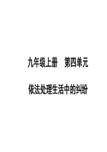 山东省聊城市2019年中考道德与法治 九上 第四单元 依法处理生活中的纠纷复习课件