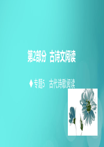 山东省2020高考语文二轮复习 第2部分 古诗文阅读 专题5 古代诗歌阅读课件