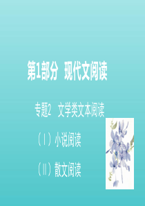 山东省2020高考语文二轮复习 第1部分 现代文阅读 专题2 文学类文本阅读（小说阅读）课件