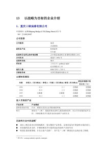 以战略为目标的企业介绍