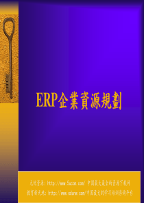 ERP企业资源规划(1)