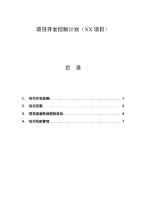 项目开发控制计划