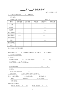 项目成本分析