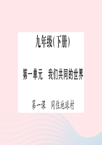 宁夏2019中考政治 第一篇 备考体验 九下 第1单元 我们共同的世界复习课件