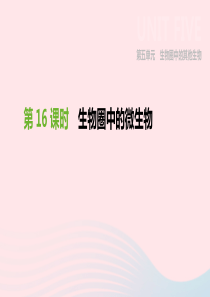 内蒙古包头市2019年中考生物 第五单元 生物圈中的其他生物 第16课时 生物圈中的微生物复习课件