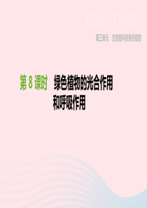 内蒙古包头市2019年中考生物 第三单元 生物圈中的绿色植物 第08课时 绿色植物的光合作用和呼吸作