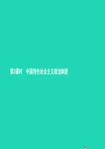 九年级政治全册 第一单元 世界大舞台 第3课 中国的道路 第3框 中国特色社会主义政治制度课件 人民