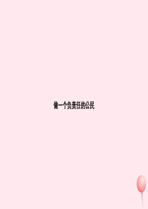 九年级政治全册 第一单元 承担责任 服务社会 第二课 在承担责任中成长 第3框 做一个负责任的公民习